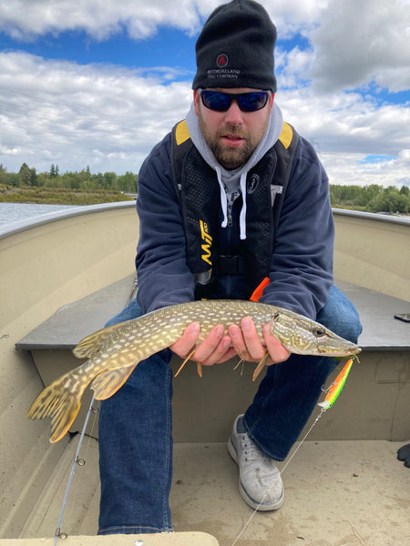 Best Northern pike lures, Best Fall Northern Pike lures, Catching  northern pike with artificial lures, Fall northern pike fishing tips