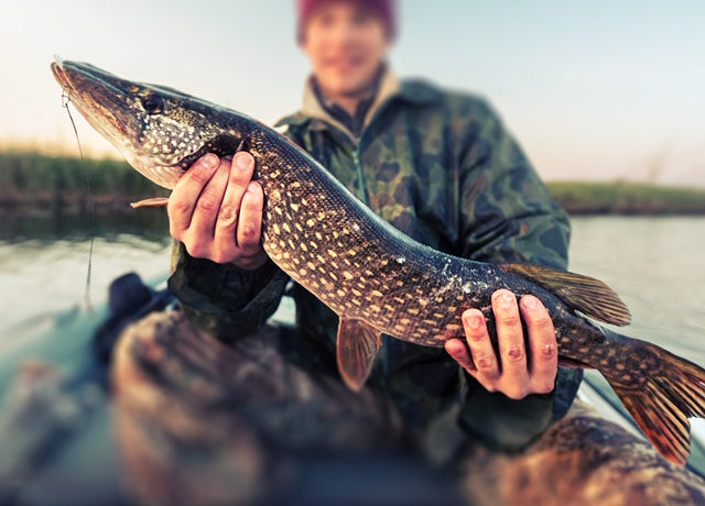 Reel in a trophy catch with these topwater lures for northern pike!